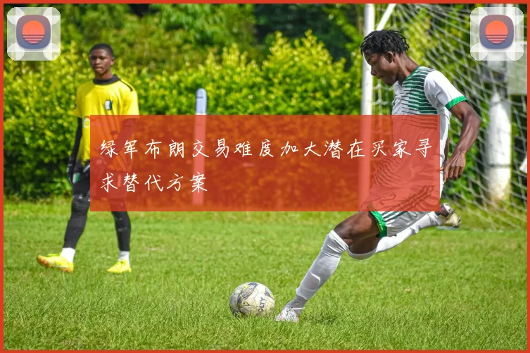 绿军布朗交易难度加大潜在买家寻求替代方案