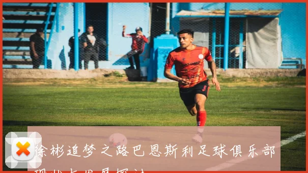 徐彬追梦之路巴恩斯利足球俱乐部现状与发展探讨